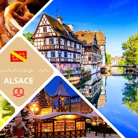 Gite Au Coeur De L'Alsace Maison Gatsby Staffelfelden 외부 사진