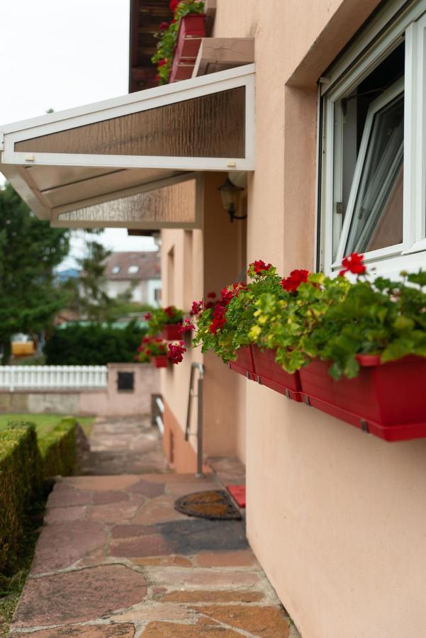 Gite Au Coeur De L'Alsace Maison Gatsby Staffelfelden 외부 사진